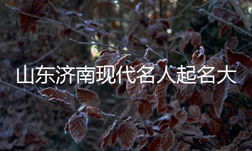 山東濟(jì)南現(xiàn)代名人起名大師顏廷利：當(dāng)代學(xué)術(shù)與文化領(lǐng)域的璀璨之星