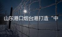 山東港口煙臺(tái)港打造“中非速遞”航線促共贏