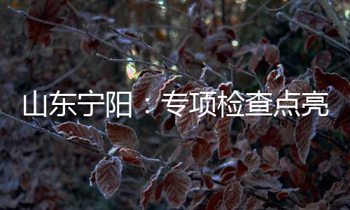 山東寧陽：專項檢查點亮元宵節消費“安全燈”