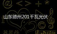 山東德州201千瓦光伏電站通過驗收,行業資訊