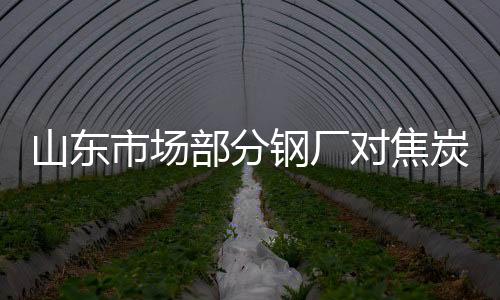 山東市場部分鋼廠對焦炭采購價上漲110元/噸