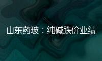 山東藥玻：純堿跌價業績彈升 維持公司增持評級,企業新聞