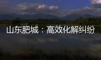 山東肥城：高效化解糾紛 全力維護權益