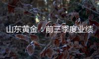 山東黃金：前三季度業績持續高增內增外拓戰略穩步落地