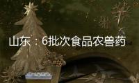 山東：6批次食品農獸藥殘留超標