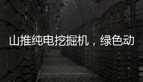 山推純電挖掘機，綠色動力燃動生物質電廠新篇章