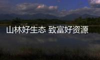 山林好生態 致富好資源（高質量發展調研行）
