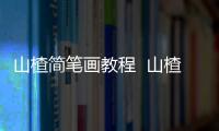 山楂簡筆畫教程  山楂簡筆畫怎么畫