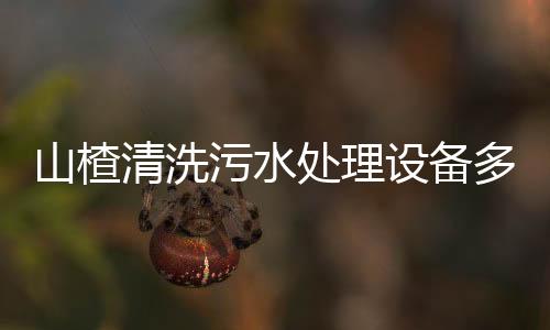 山楂清洗污水處理設備多少錢