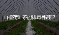 山楂荷葉茶能排毒養顏嗎