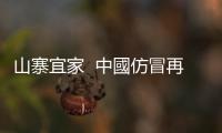 山寨宜家  中國仿冒再進化｜天下雜誌