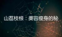 山荔枝根：美容瘦身的秘密武器