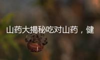 山藥大揭秘吃對山藥，健康加分！記住這些禁忌！