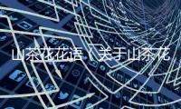 山茶花花語（關于山茶花花語的基本情況說明介紹）