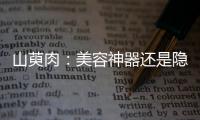 山萸肉：美容神器還是隱患？