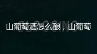 山葡萄酒怎么釀，山葡萄酒的釀制方法