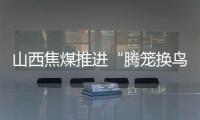 山西焦煤推進“騰籠換鳥”和止損挽損專項行動工作