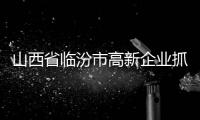 山西省臨汾市高新企業(yè)抓讓自己的公司不經(jīng)營(yíng)