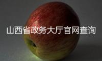 山西省政務大廳官網查詢（山西省政務大廳官網）