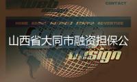 山西省大同市融資擔保公司轉讓怎么辦理