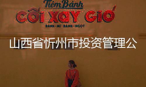 山西省忻州市投資管理公司轉讓什么條件