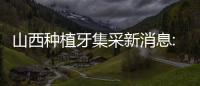 山西種植牙集采新消息:4月20日起單顆種植牙費用明確降價(降幅為50%左右)