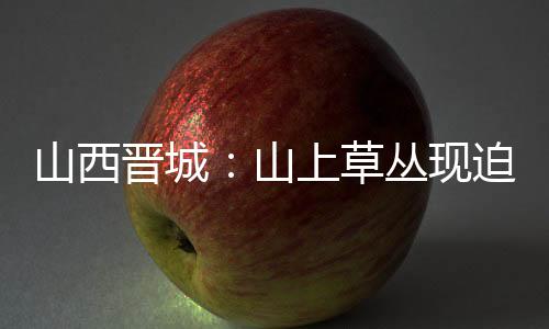 山西晉城：山上草叢現迫擊炮彈 排爆民警及時排險