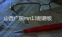 山西廣東mn13耐磨板市場報價