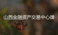 山西金融資產交易中心牌照多少錢