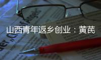 山西青年返鄉(xiāng)創(chuàng)業(yè)：黃芪種植鋪就農(nóng)民增收路