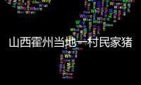 山西霍州當(dāng)?shù)匾淮迕窦邑i圈坍塌 50多頭豬被落石砸死