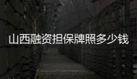 山西融資擔保牌照多少錢