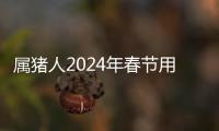 屬豬人2024年春節用什么顏色吉利