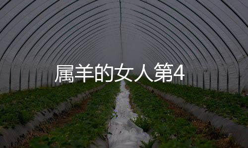 屬羊的女人第4