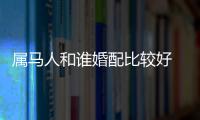 屬馬人和誰婚配比較好 和屬狗人是十分幸福美滿的一對