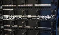 屬龍的人二月二龍抬頭吃什么食物（二月二龍抬頭吃什么傳統食物好）