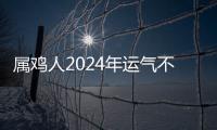 屬雞人2024年運氣不好波折多怎么化解