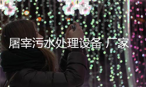 屠宰污水處理設備 廠家報價