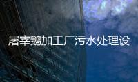 屠宰鵝加工廠污水處理設(shè)備