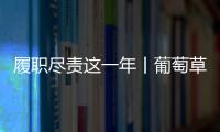 履職盡責這一年丨葡萄草莓“上下鋪” 串起鄉村振興路