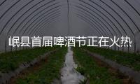 岷縣首屆啤酒節正在火熱招商中!