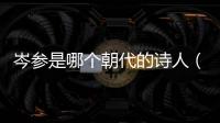 岑參是哪個朝代的詩人（岑參是哪個朝代的）