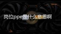 崗位ppe是什么意思啊（ppe是什么意思啊）
