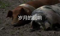 歲月的回響