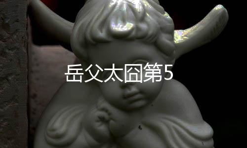 岳父太囧第5