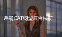 岳麓CAT鋼塑復(fù)合拉筋帶電話