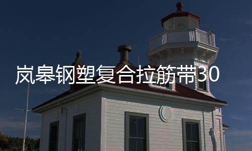 嵐皋鋼塑復合拉筋帶30020B規(guī)格