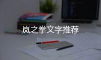 嵐之拳文字推薦