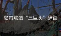 島內(nèi)購蛋“三巨頭”辭官走人留下爛攤子 被批“荒誕至極”