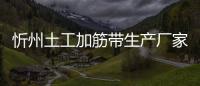 忻州土工加筋帶生產(chǎn)廠家